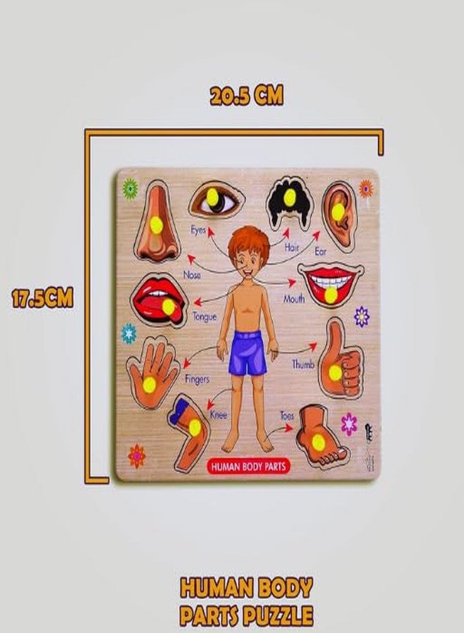 RPC99 Wooden Body Parts Learning Puzzle Board Game with Knobs, Educational Activity Chart for Kids - Image 5
